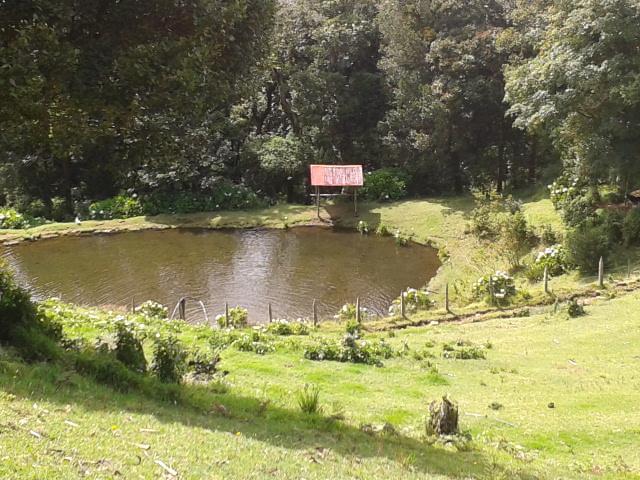 Lagunillas Del Poas Poasito Buitenkant foto